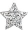 Silver Foil Star Pinata for Kids Birthday, Twinkle Twinkle Little Star Gender Reveal Party Decorations, Baby Shower (Small, 13 x 3 In) - Pinatas for Birthday Party